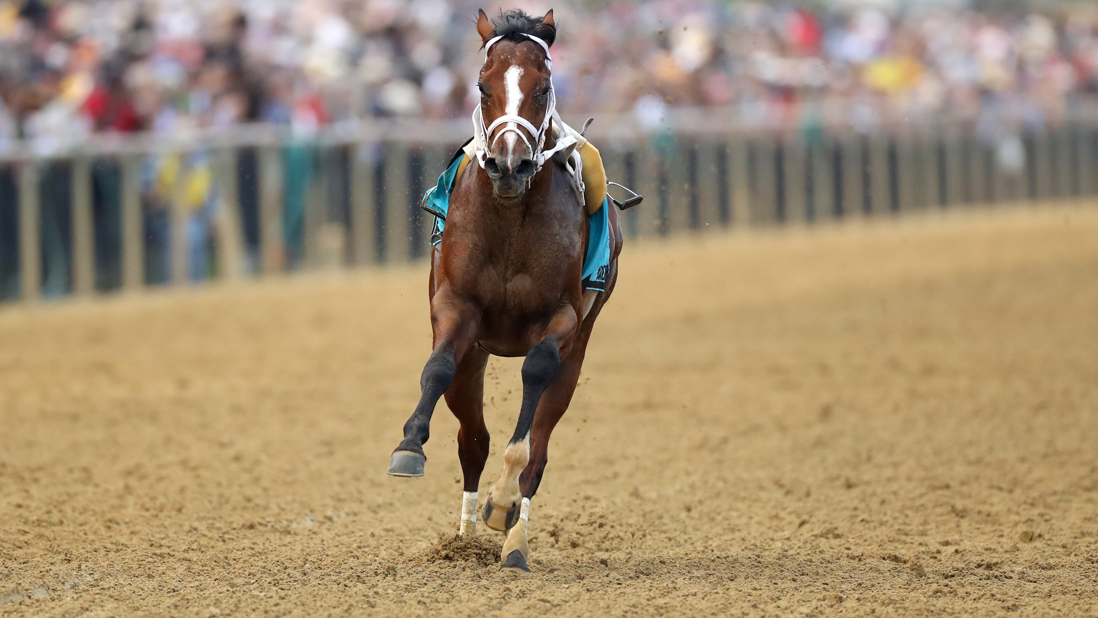 Bodexpress #9 heads into the first turn with the field after dumping jockey John Velazquez at the the start during the 144th Running of the Preakness Stakes at Pimlico Race Course on May 18, 2019 in Baltimore, Maryland. (Photo by Rob Carr/Getty Images)