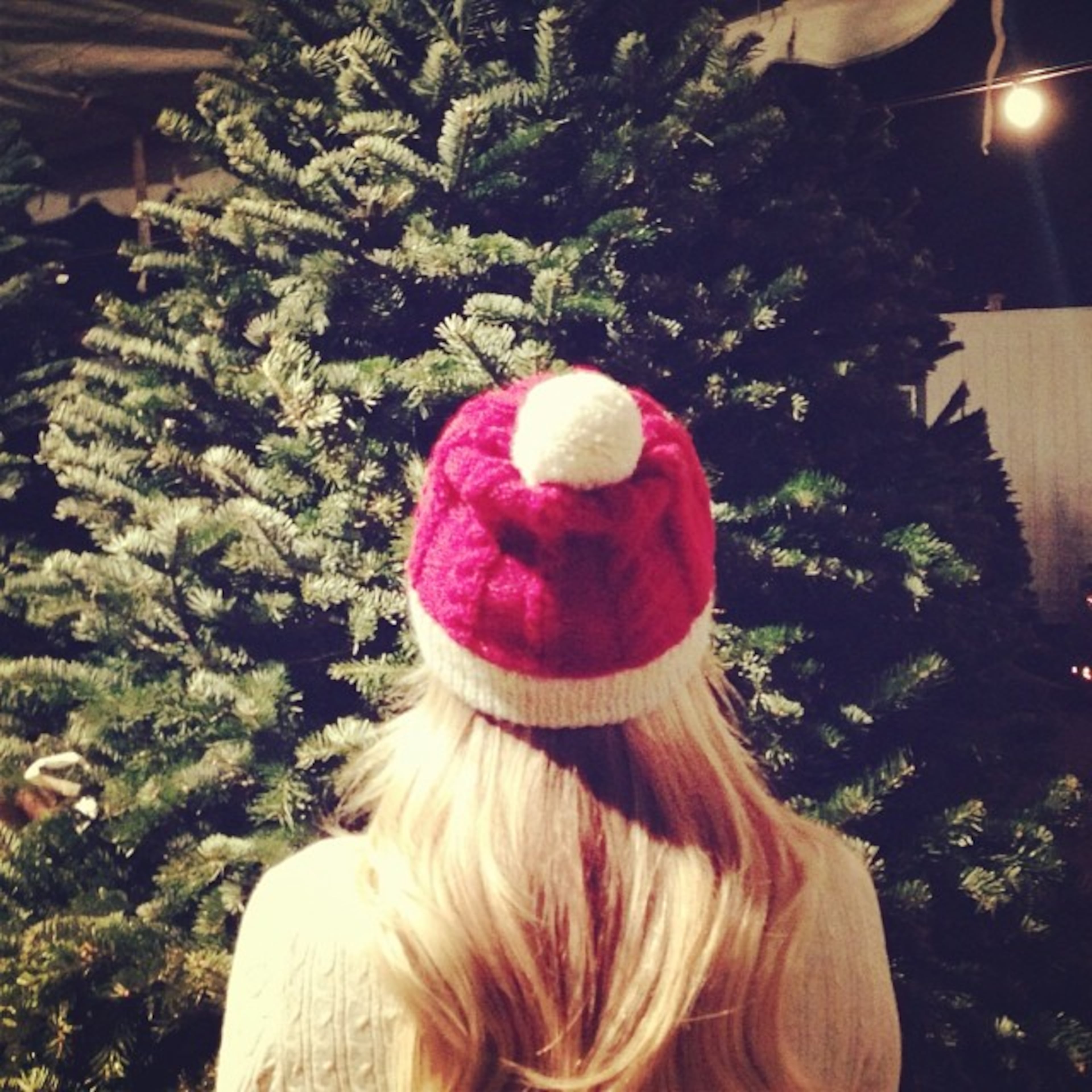 Found the perfect Christmas tree -- @laurenconrad
