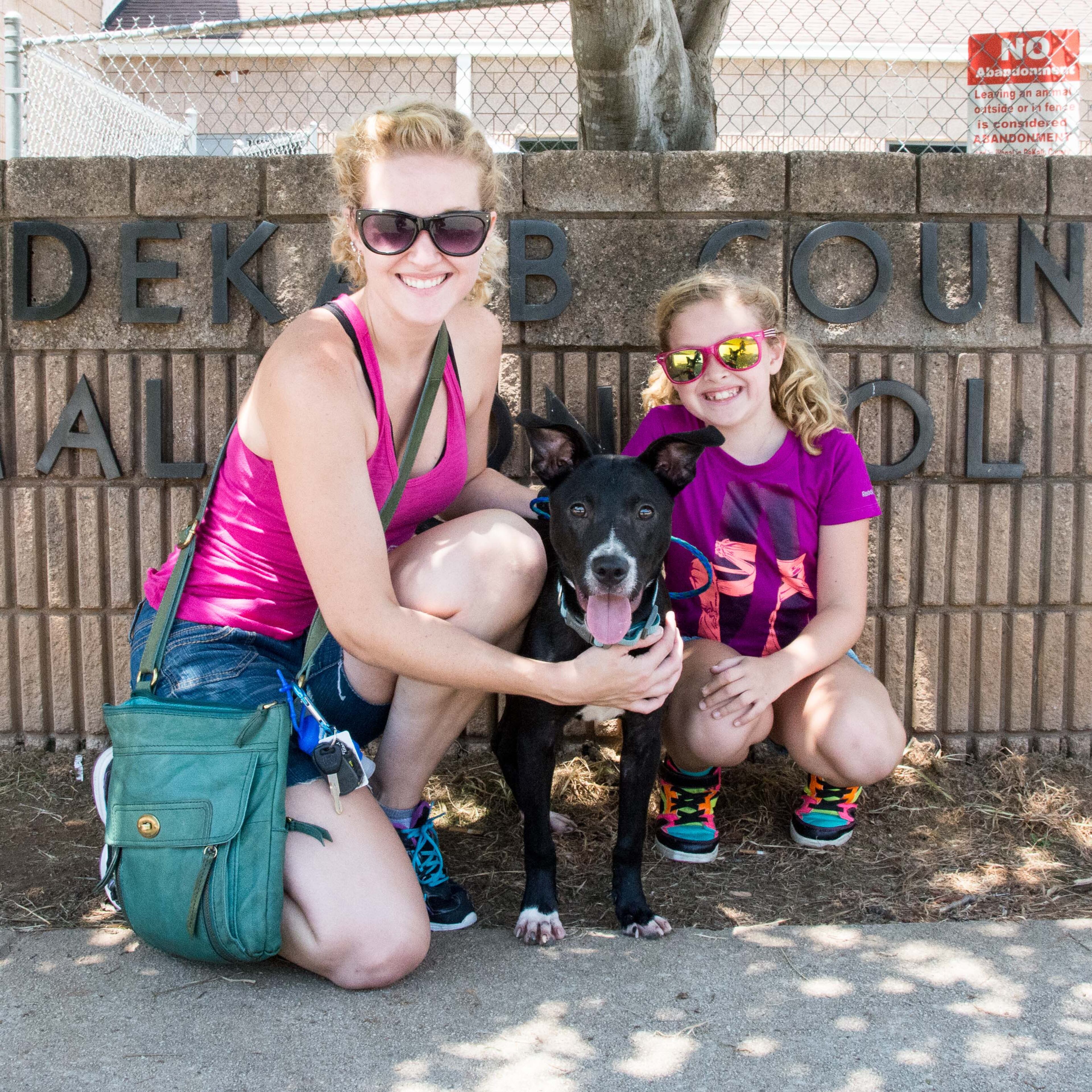 LifeLine's DeKalb and Fulton County animal shelters are hosting a four-day Adopt-a-Thon. The shelters are adopting out animals at no charge from now until Monday, July 25.