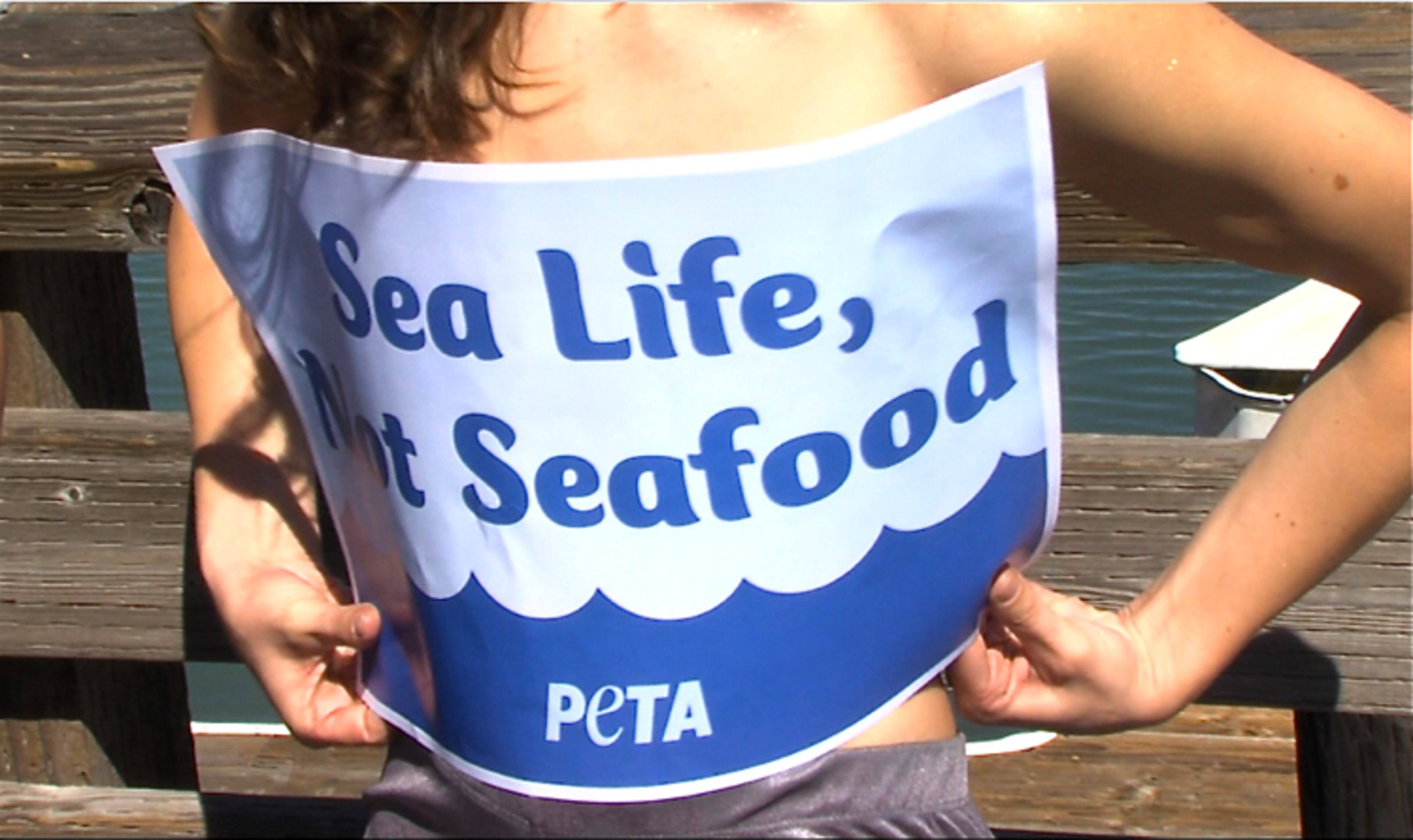 PETA campaigner Matt Bruce states that "Scientific studies show that fish are intelligent, sensitive animals who experience pain and fear when they are hooked or netted and pulled from the water."