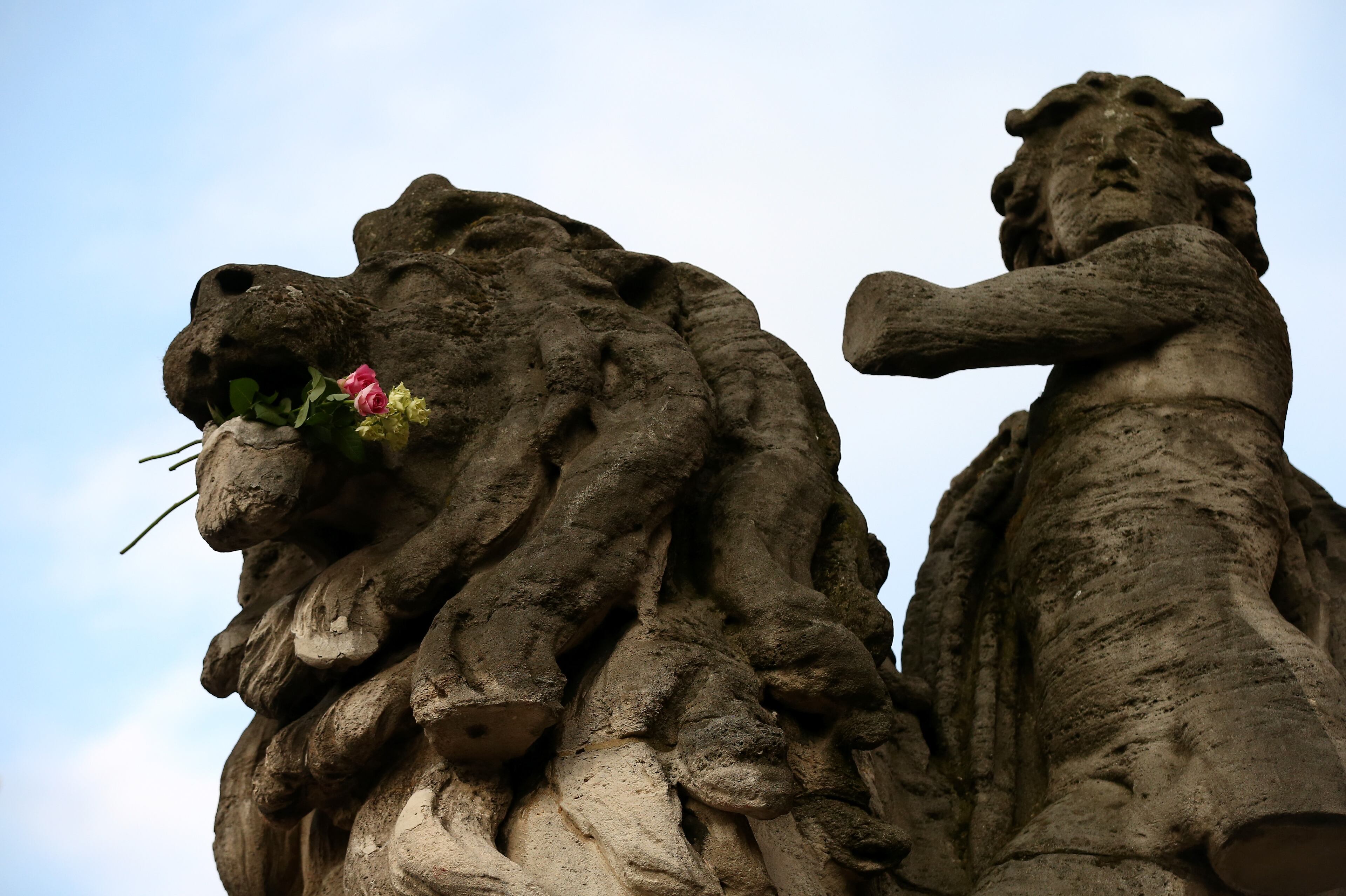 BRUSSELS, BELGIUM - MARCH 22: Flowers are placed into the mouth of a lion statue as people gather to leave tributes at the Place de la Bourse following today's attacks on March 22, 2016 in Brussels, Belgium. At least 31 people are thought to have been killed after Brussels airport and a Metro station were targeted by explosions. The attacks come just days after a key suspect in the Paris attacks, Salah Abdeslam, was captured in Brussels. (Photo by Carl Court/Getty Images)
