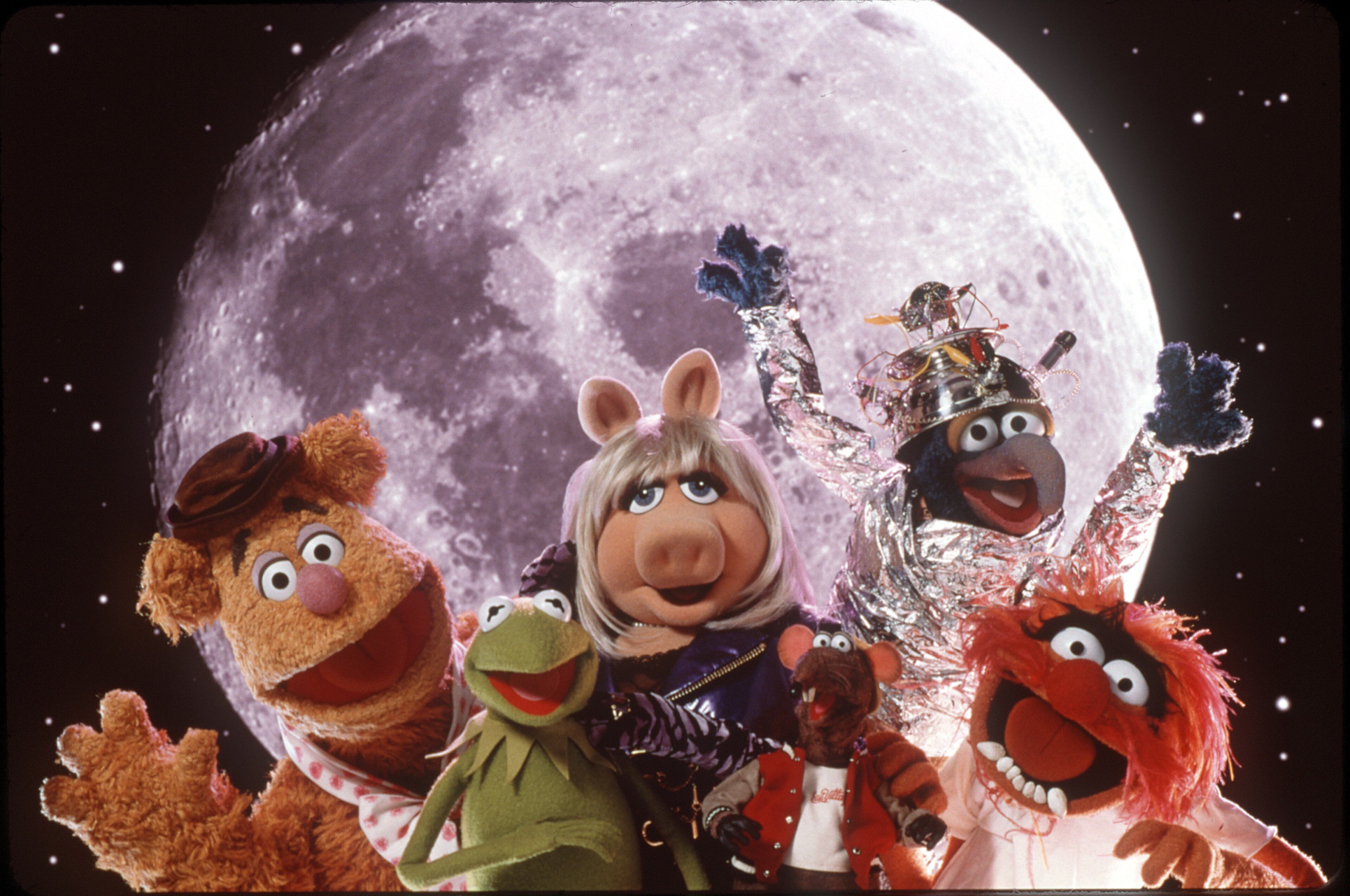 12 "Muppet" movies: The Muppet Movie (1979), The Great Muppet Caper (1981), The Muppets Take Manhattan (1984), The Muppet Christmas Carol (1992), Muppet Classic Theater (1994), Muppet Treasure Island (1996), Muppets From Space (1999), Kermit's Swamp Year s (2002), It's a Very Merry Muppet Christmas Movie (2002), The Muppets' Wizard of Oz (2005), The Muppets (2011), Muppets Most Wanted (2014). The 2011 installment won a Best original Song Academy Award for "Man or Muppet." credit: NELS ISRAELSON/Jim Henson Productions