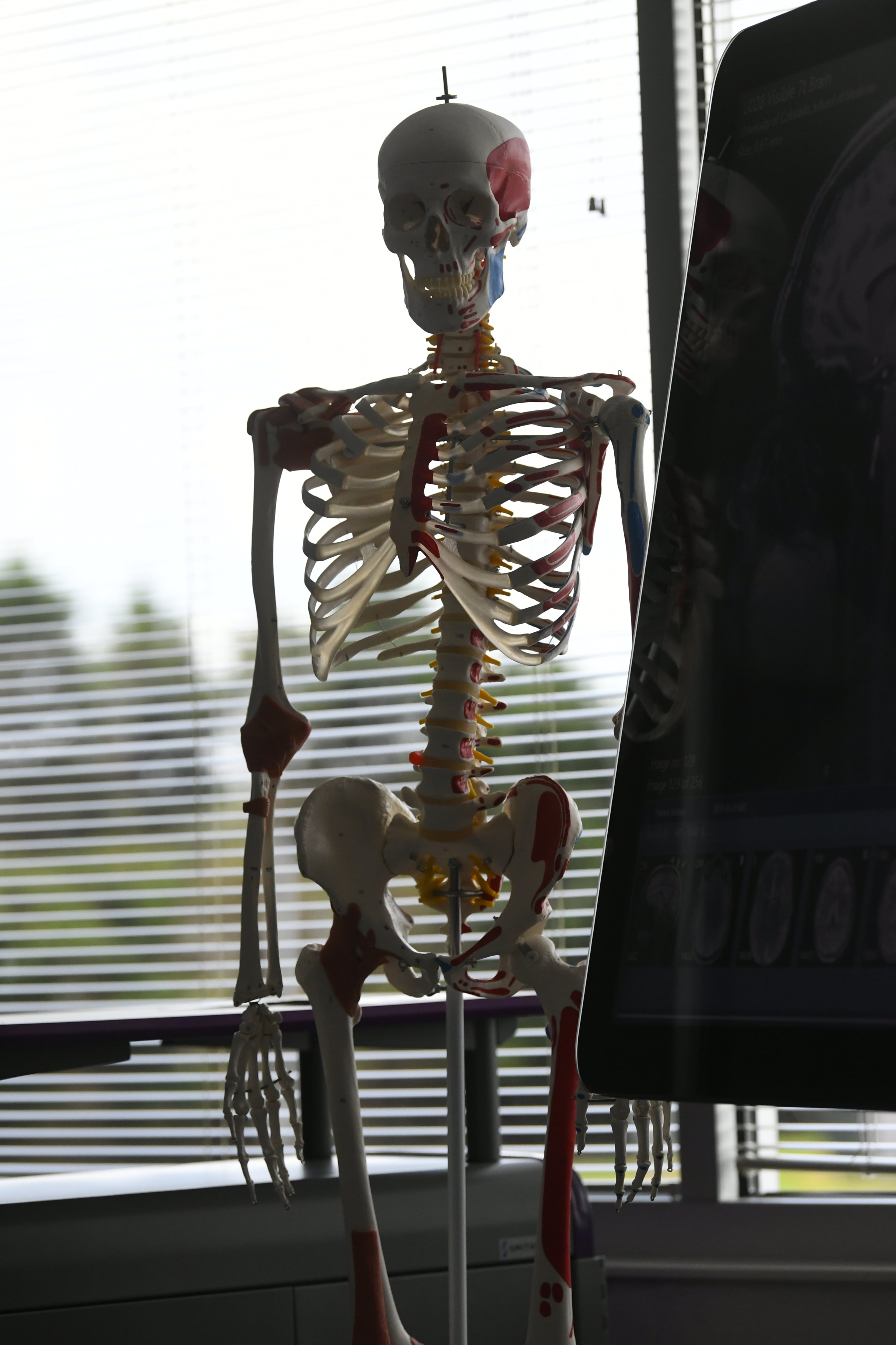 Elements in the health science simulator lab are shown â McClure Health Science High School is the newest Gwinnett County High School. We tour the facilities and talk to school board and administrators about the need for this school and expectations.
JOHN AMIS / SPECIAL TO THE AJC