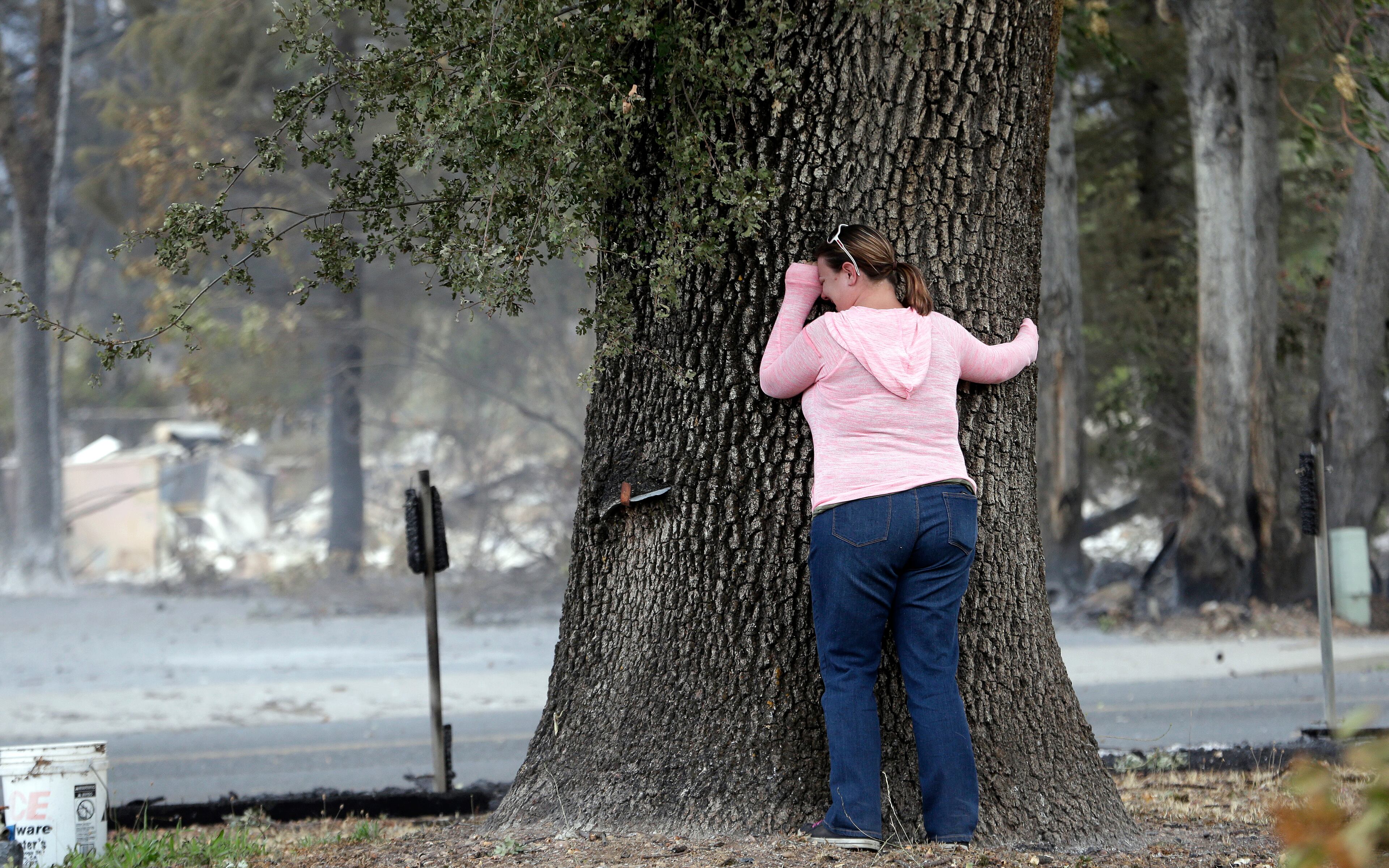 Deanna Hingst puts her arms on a massive tree and weeps outside the ashen remains of her family's home after finding the tree singed but apparently still healthy Monday, Sept. 14, 2015, in Middletown, Calif. Two of California's fastest-burning wildfires in decades overtook several Northern California towns, killing at least one person and destroying hundreds of homes and businesses and sending thousands of residents fleeing highways lined with buildings, guardrails and cars still in flames. (AP Photo/Elaine Thompson)