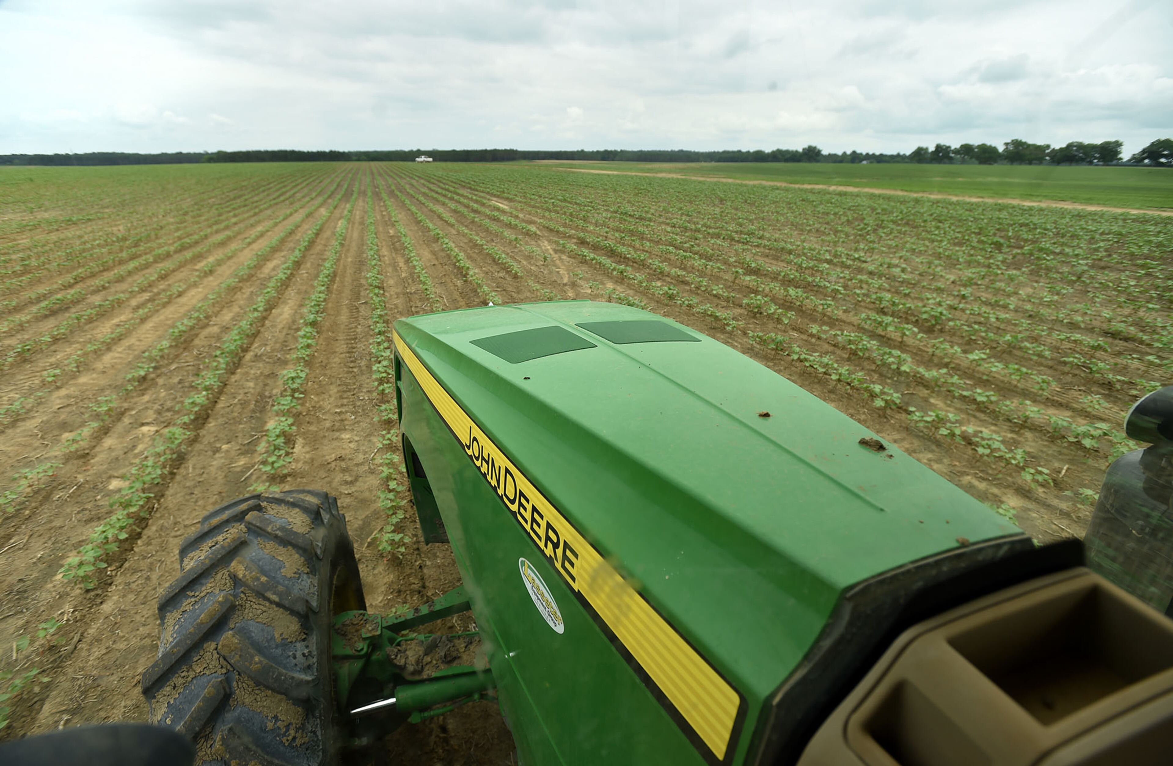 Liquid nitrogen is applied to a cotton field owned by Chuck and Matt Coley in Vienna.