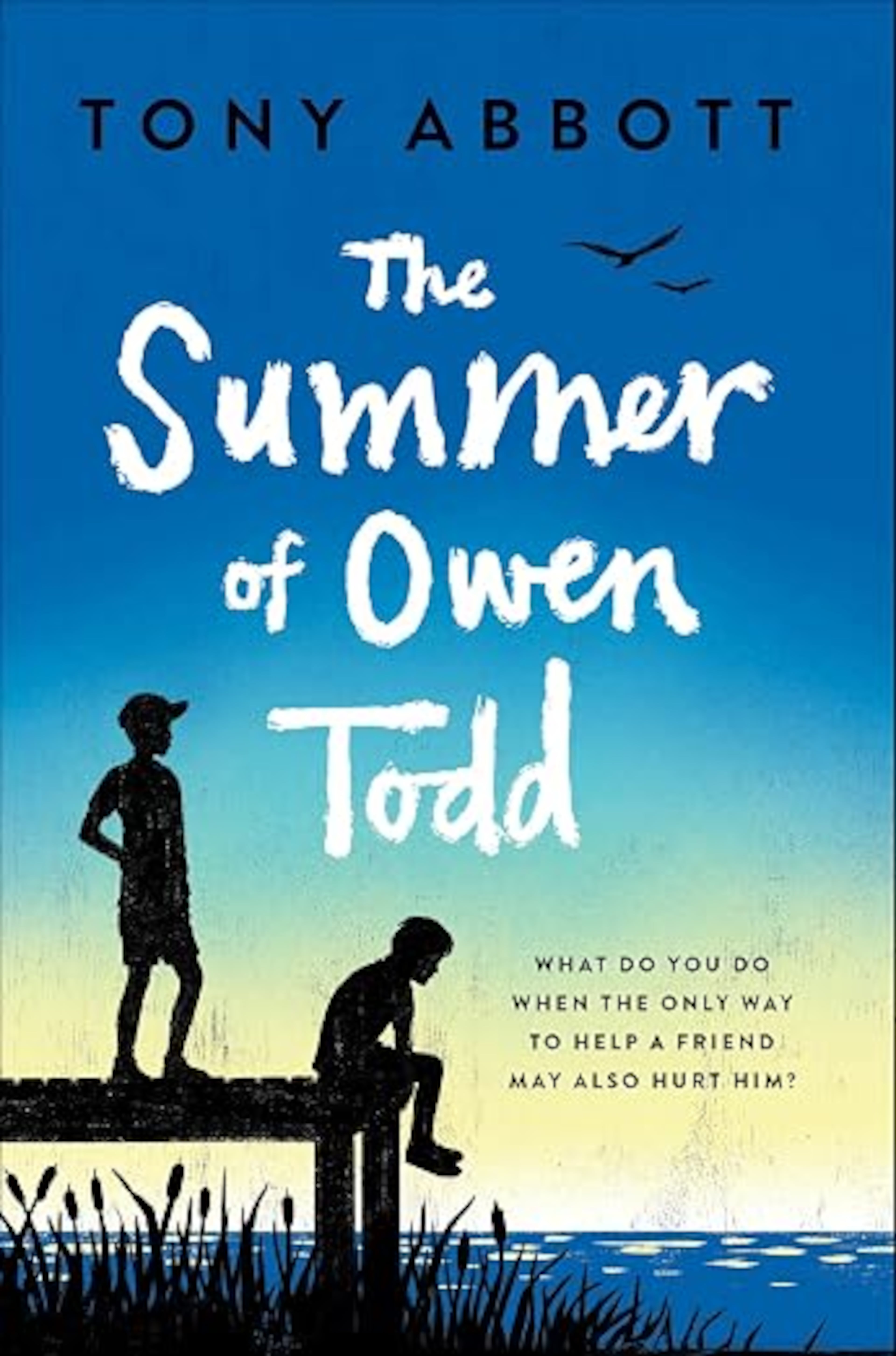 "The Summer of Owen Todd" by Tony Abbott