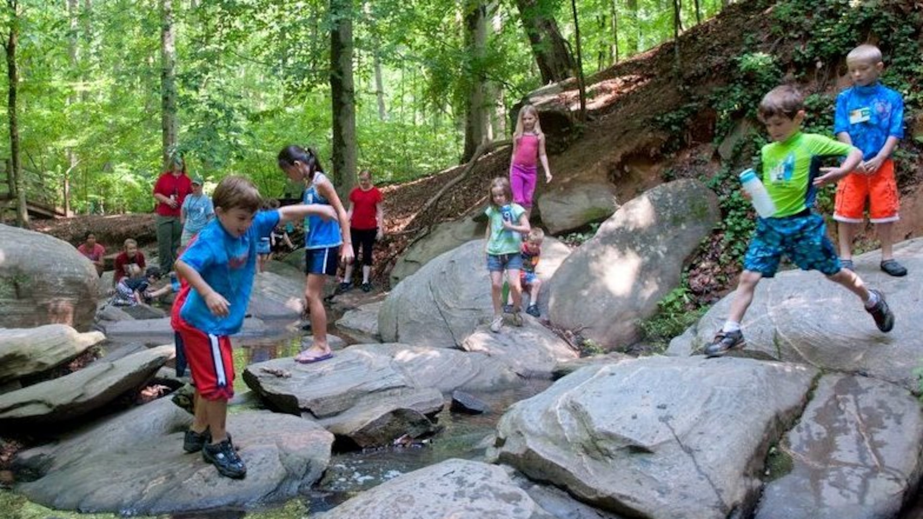 Dunwoody Nature Center offers Mud-luscious camp for kindergartners through fifth-graders and Puddle Wonderful half-day camps for three- and four-year olds.