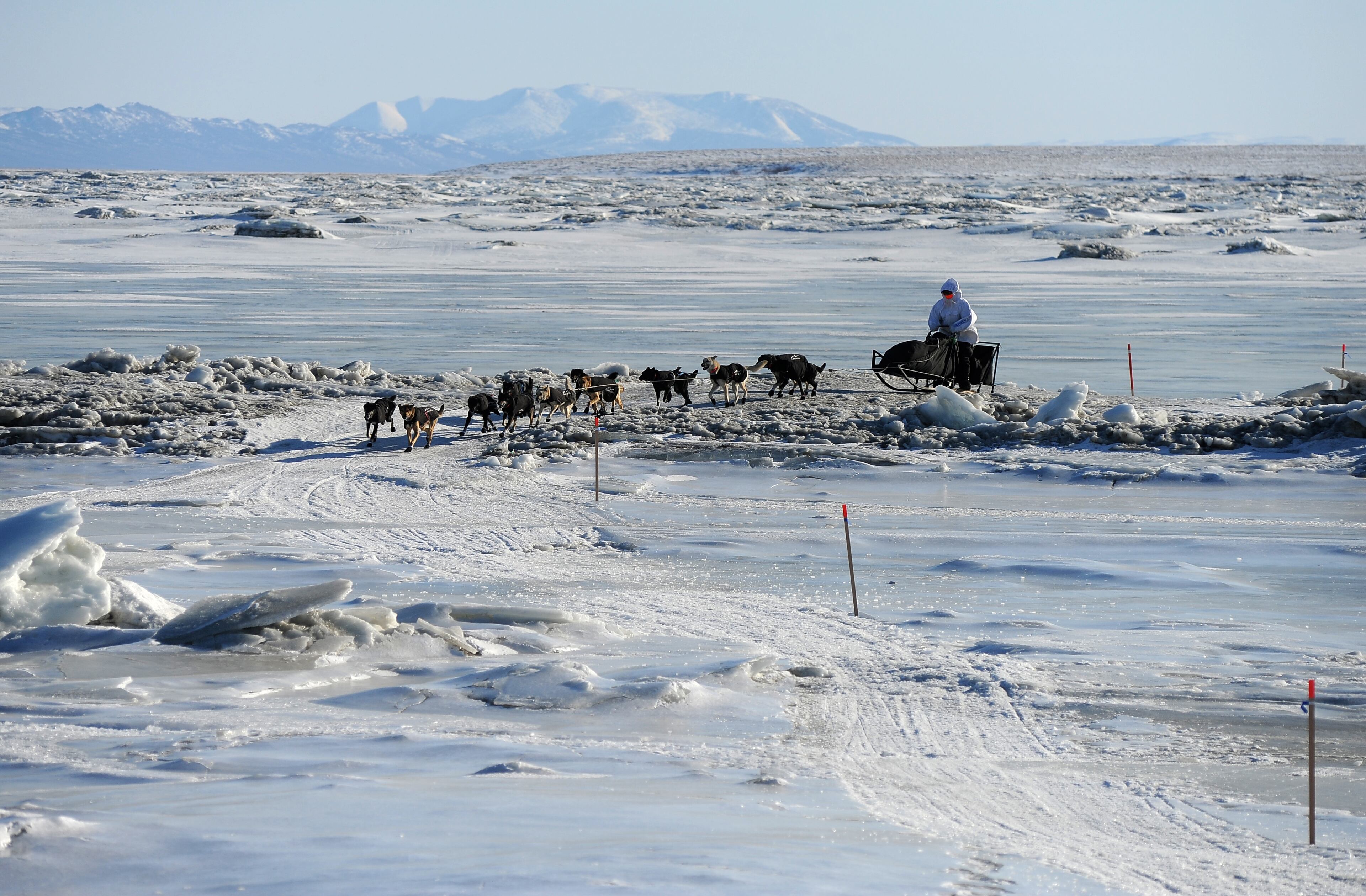 Iditarod musher Martin Buser, from Big Lake, Alaska, comes in off the ice and into the Koyuk checkpoint during the 2014 Iditarod Trail Sled Dog Race on Sunday, March 9, 2014 in Koyuk, Alaska. (AP Photo/The Anchorage Daily News, Bob Hallinen)