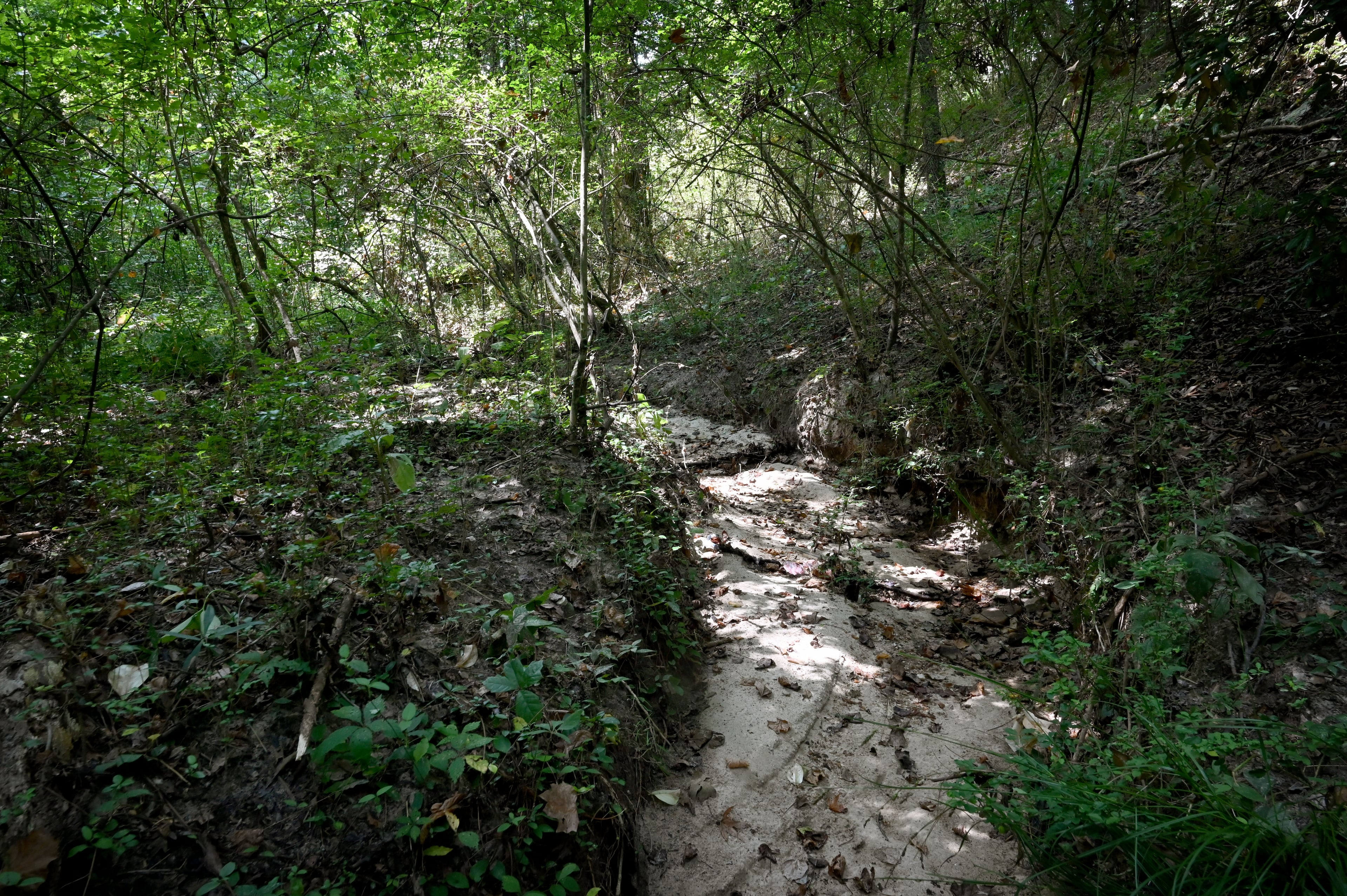 A wooded area in Cobb County, across the tracks from where Presnell brought the girls. (Hyosub Shin/AJC)