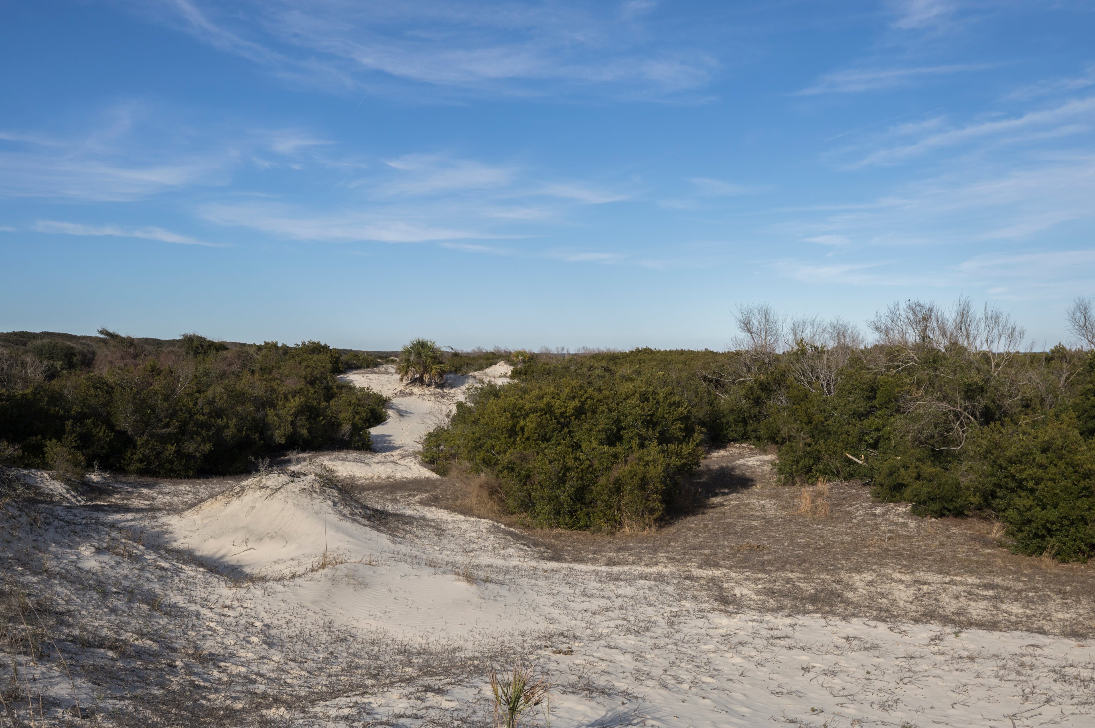 A NEW VISITOR PLAN THAT'S BEEN PROPOSED FOR THE CUMBERLAND ISLAND NATIONAL SEASHORE