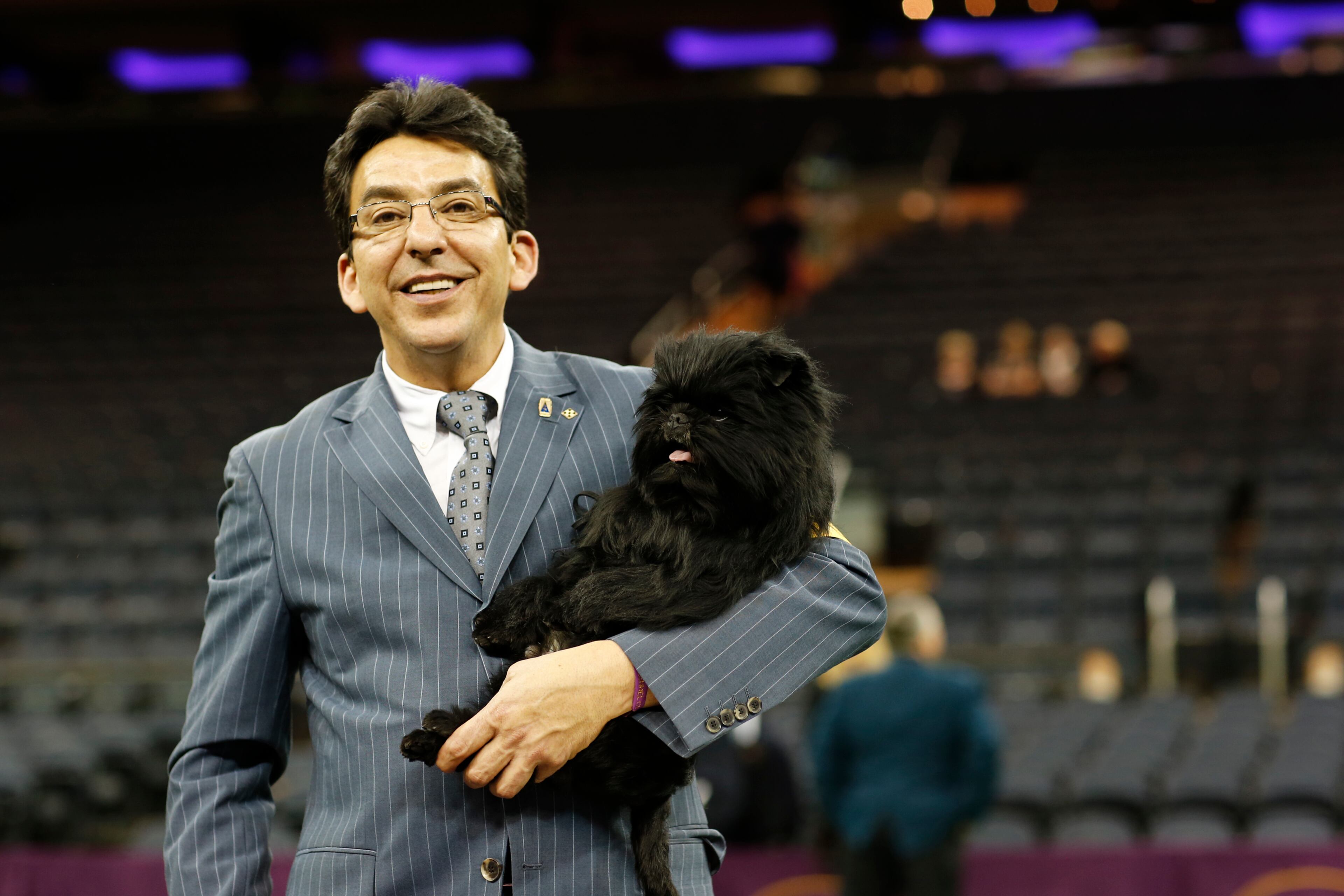 THE WESTMINSTER KENNEL CLUB DOG SHOW -- "The 137th Annual Westminster Kennel Club Dog Show" at Madison Square Garden in New York City on Monday, February 11, 2013 -- Pictured: (l-r) Handler Ernesto Lara, Best in Show winner "Banana Joe" the Affenpinscher -- (Photo by: Neilson Barnard/USA Network/NBCU Photo Bank via Getty Images)