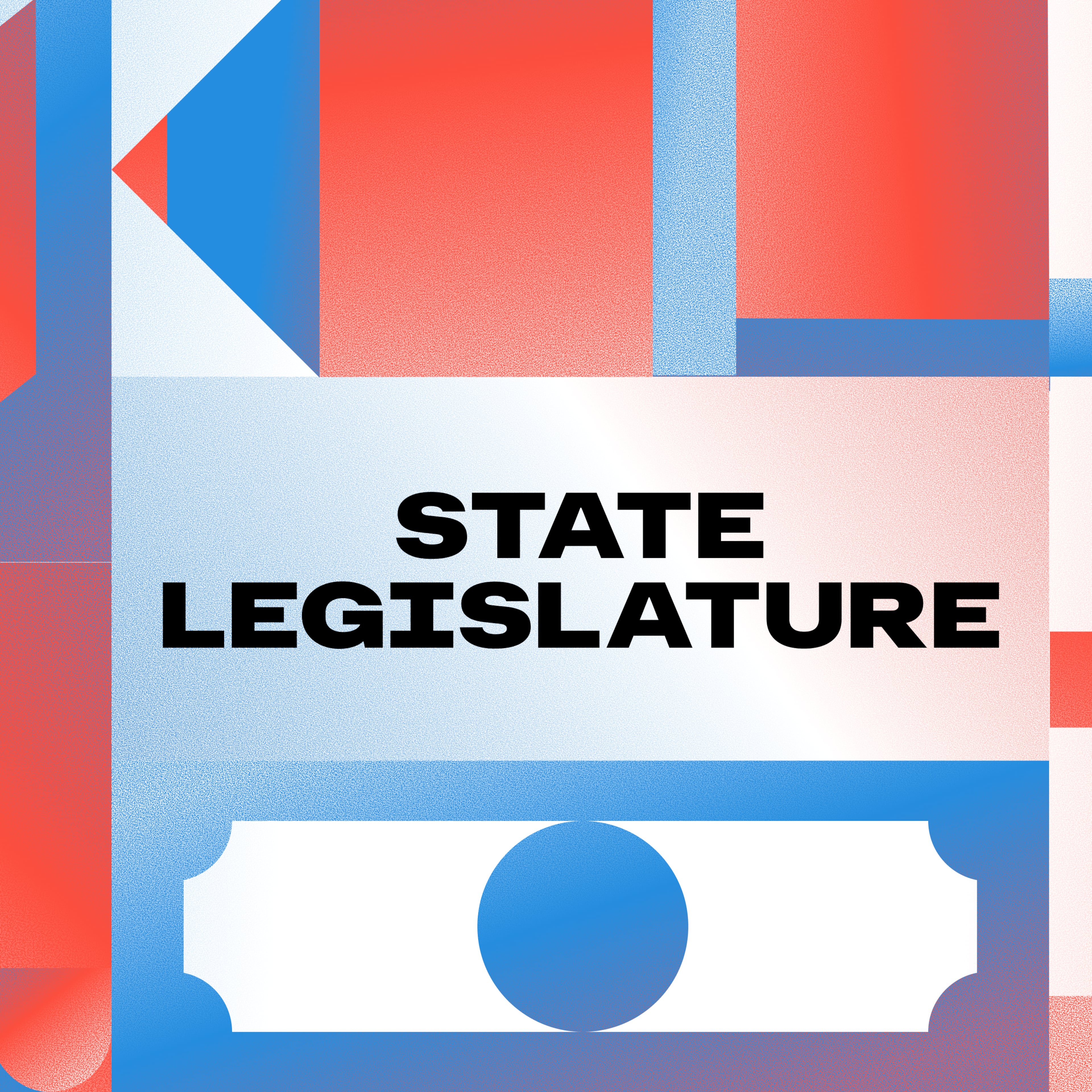 Georgia Elections - State Legislature